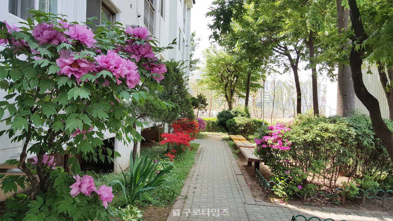 평온한 일상의 기쁨과 바람이 골목에서 버스안에서 나오고 있다. 방역관리체계에 실질적인 '지역'관점이 반영되지 않으면 방역의 구멍을 막을수 없다.