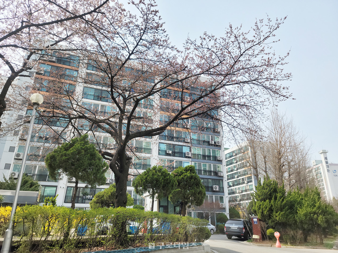 고척동 한진아파트 전경